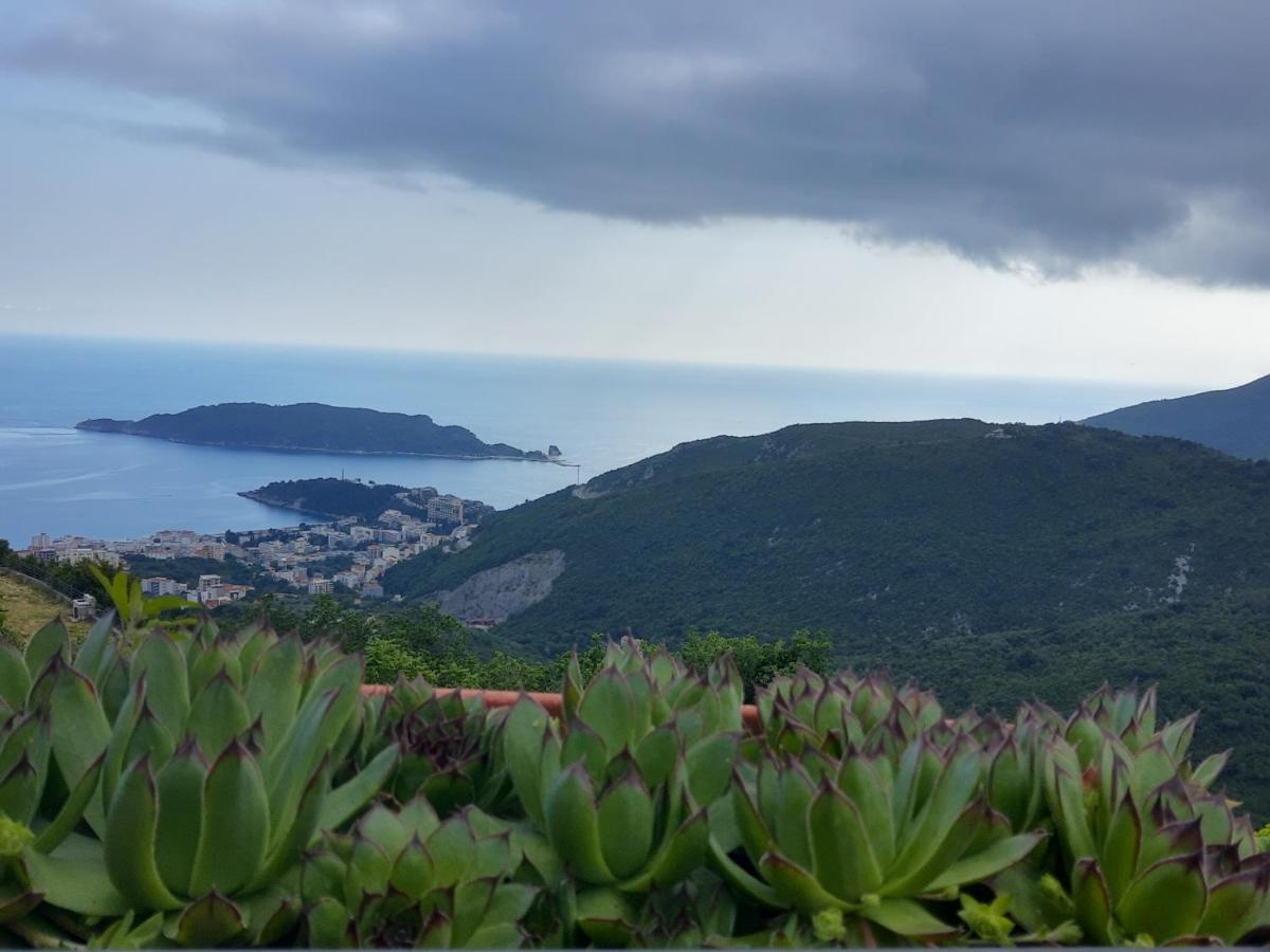 Apartment Stanisic Budva